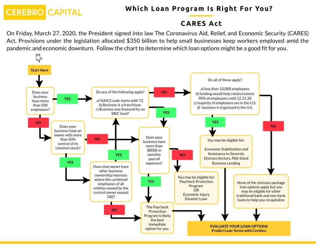 Chart: Government COVID19 Loan Options