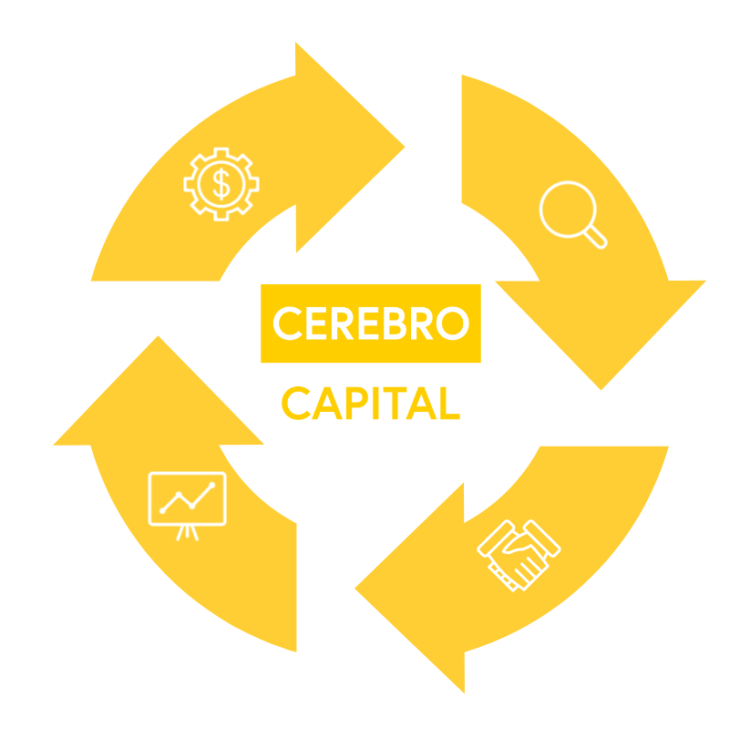 Cerebro Capital - improving the Credit Lifecycle