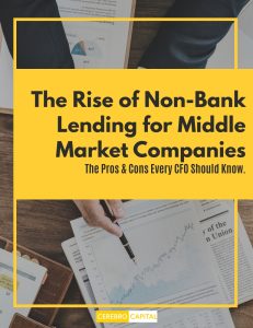 Image: Cover of Rise in Non-Bank Lending Report